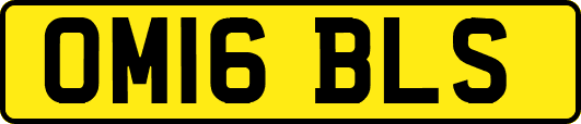 OM16BLS