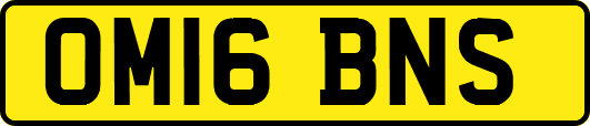 OM16BNS
