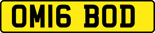 OM16BOD