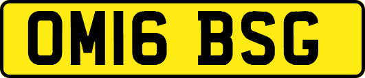 OM16BSG