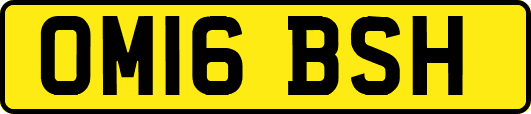 OM16BSH