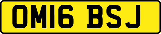 OM16BSJ