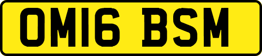 OM16BSM