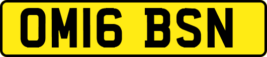 OM16BSN