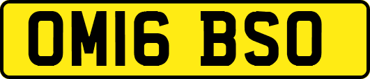 OM16BSO