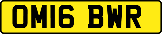 OM16BWR
