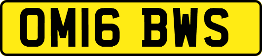 OM16BWS