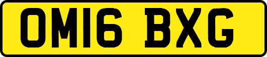OM16BXG