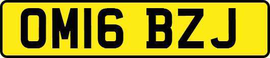 OM16BZJ