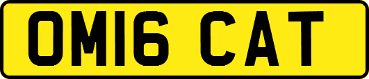 OM16CAT