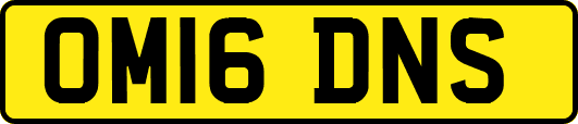OM16DNS
