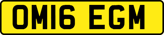 OM16EGM