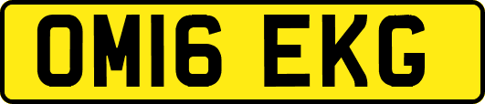 OM16EKG