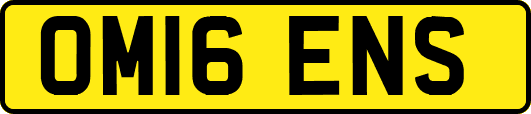 OM16ENS