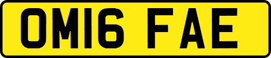 OM16FAE