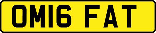 OM16FAT