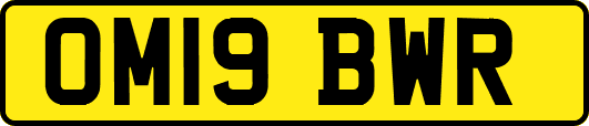 OM19BWR