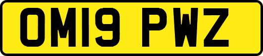 OM19PWZ