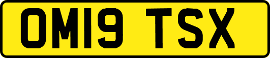 OM19TSX