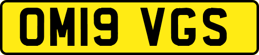 OM19VGS