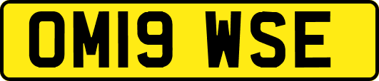 OM19WSE