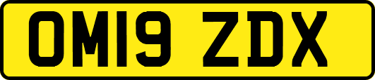 OM19ZDX