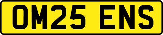 OM25ENS
