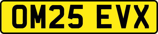 OM25EVX