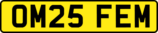 OM25FEM