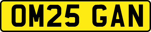 OM25GAN