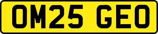 OM25GEO