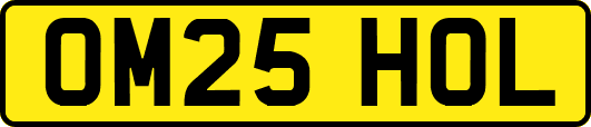 OM25HOL
