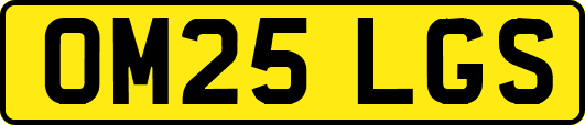 OM25LGS