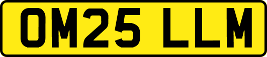 OM25LLM