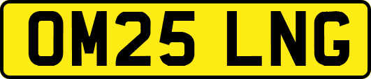 OM25LNG