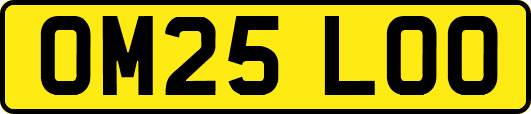 OM25LOO