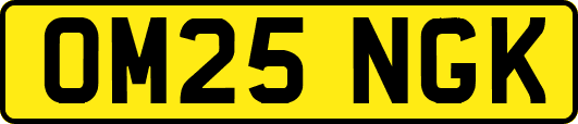 OM25NGK