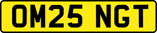 OM25NGT