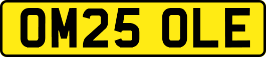 OM25OLE
