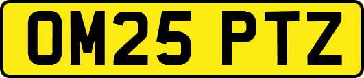 OM25PTZ