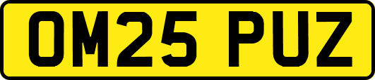 OM25PUZ
