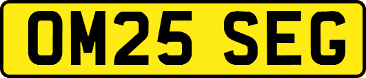 OM25SEG
