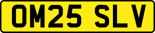 OM25SLV