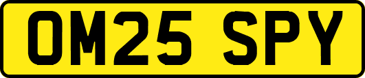 OM25SPY