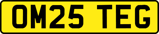 OM25TEG
