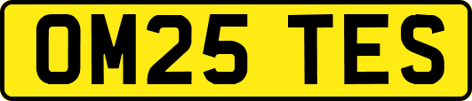 OM25TES