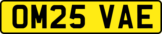 OM25VAE