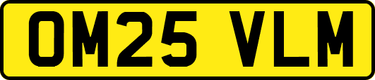 OM25VLM
