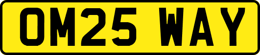 OM25WAY