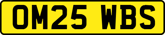 OM25WBS